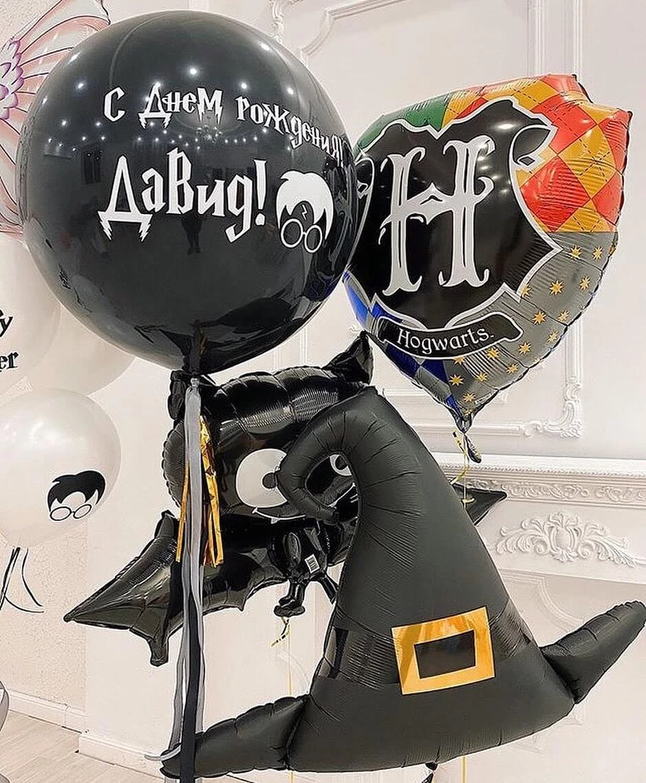 Шары Гарри Поттер на день рождения 4