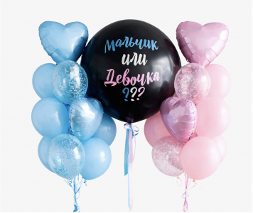 Gender Reveal Party